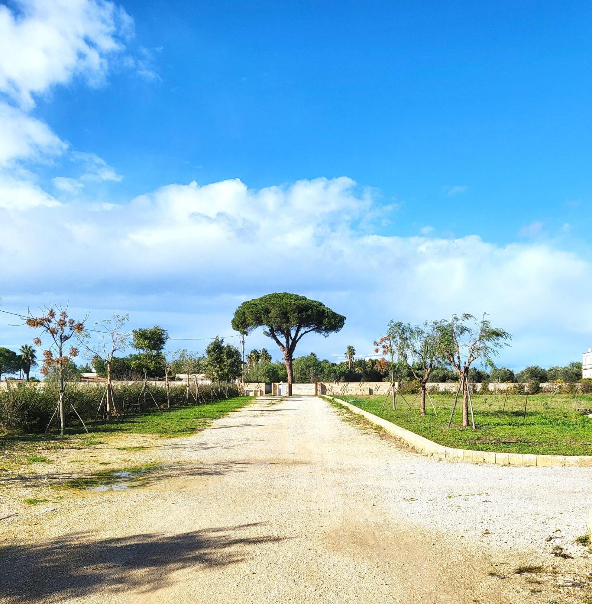 Casina Fontana Bed & Breakfast Lecce Ngoại thất bức ảnh